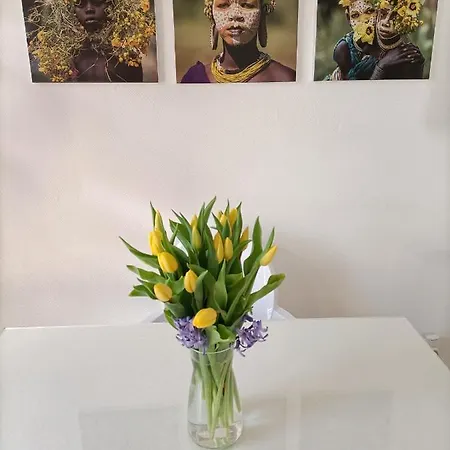 Apartment De Charme Tivoli Arcachon